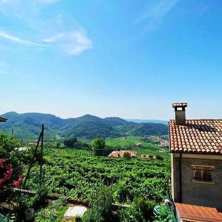 Apartamento Valdocaban: Oasis Among The Vines